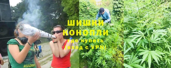 твердый Алексин