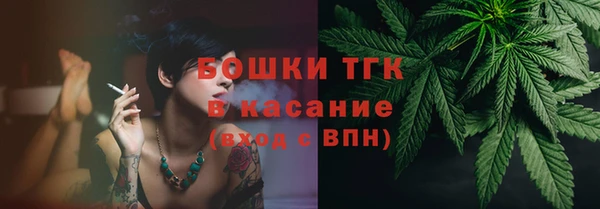 твердый Алексин