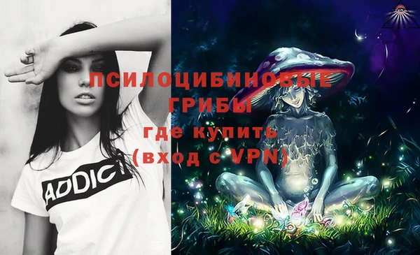 прущие крисы Аркадак