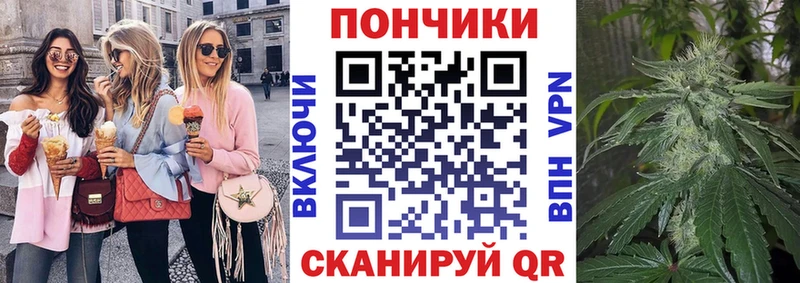 Каннабис план  продажа наркотиков  Хотьково 